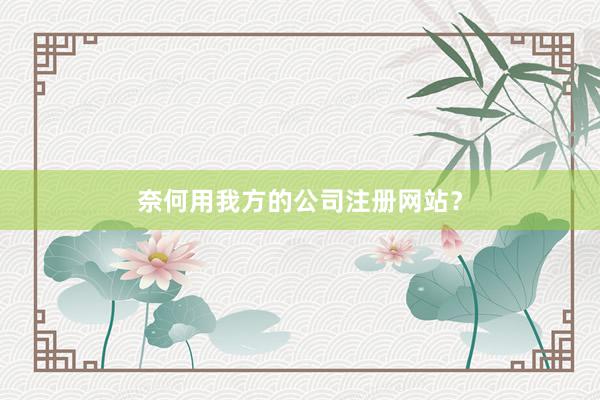 奈何用我方的公司注册网站？
